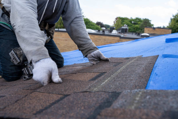 Best Chimney Flashing Repair  in Freeport, IL